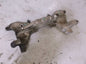 Used OEM 2000-2005 Mitsubishi Eclipse Galant Chrysler Sebring Front Subframe Cradle 3.0L OEM